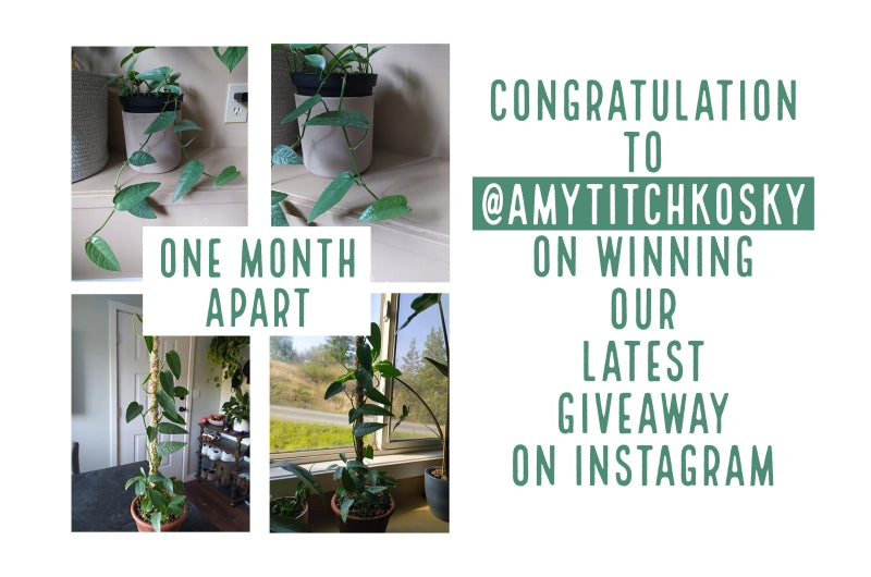 CONGRATULATIONS ON WINNING OUR LATEST INSTAGRAM GIVEAWAY