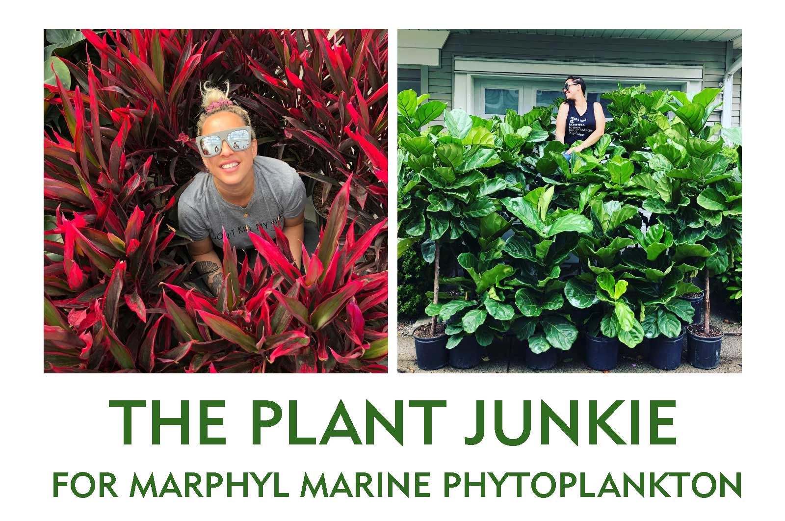 INTERVIEW WITH OUR BRAND AMBASSADOR IZABELA AKA THE PLANT JUNKIE