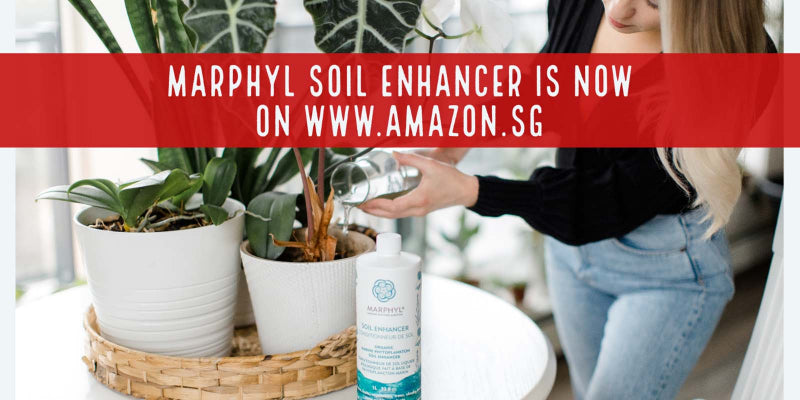 MARPHYL SOIL ENHANCER (FERTILIZER) IS NOW ON AMAZON.SG