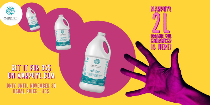 2L ORGANIC SOIL ENHANCER IS FINALLY HERE!