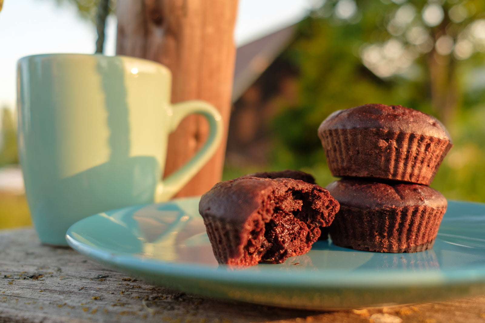 CHOCOLATE-COCONUT-SEA SALT SIMPLE VEGAN CUPCAKES RECIPE