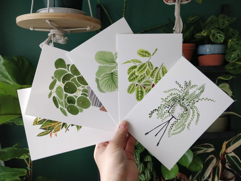 HOW TO BEGIN YOUR HOUSEPLANT JOURNEY WITH PLANT AFICIONADO AND ARTIST JACKIE TSANG