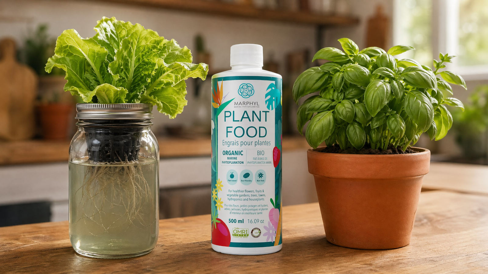 Urban Gardening for Beginners Soil or Hydroponics?