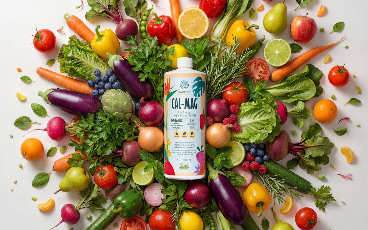 Introducing Phytoplankton + Cal-Mag: A Powerful New Upgrade for Stronger, Healthier Plants