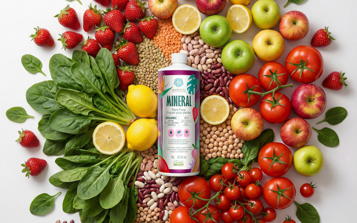 Introducing Phytoplankton + Minerals: A Complete Multi-Mineral Boost for Stronger Fruits, Vegetables & Foliage