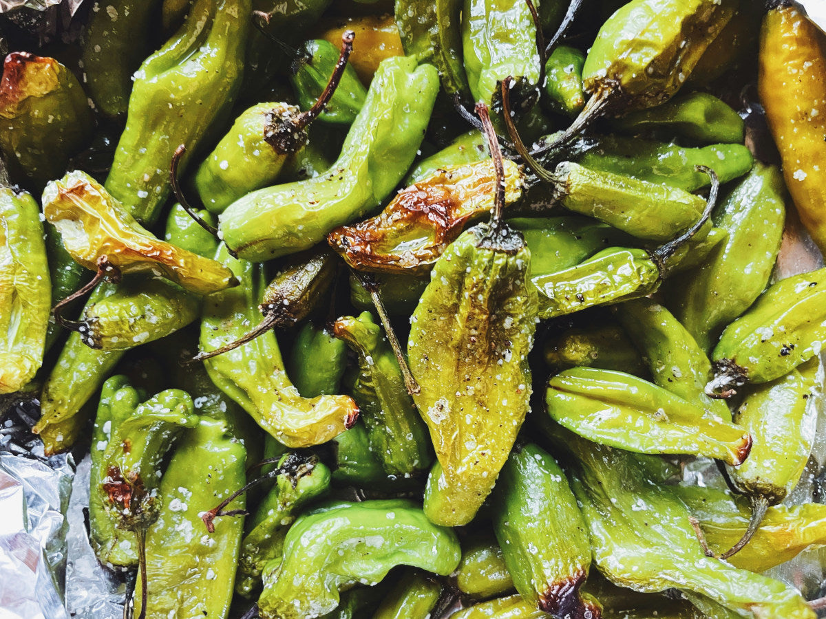 A Chef’s Secret Ingredient: How Phytoplankton Sea Salt Enhances Flavor and Nutrition