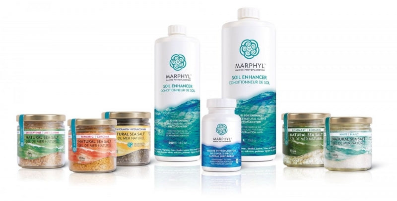 MARPHYL MARINE PHYTOPLANKTON IS LAUNCHED!