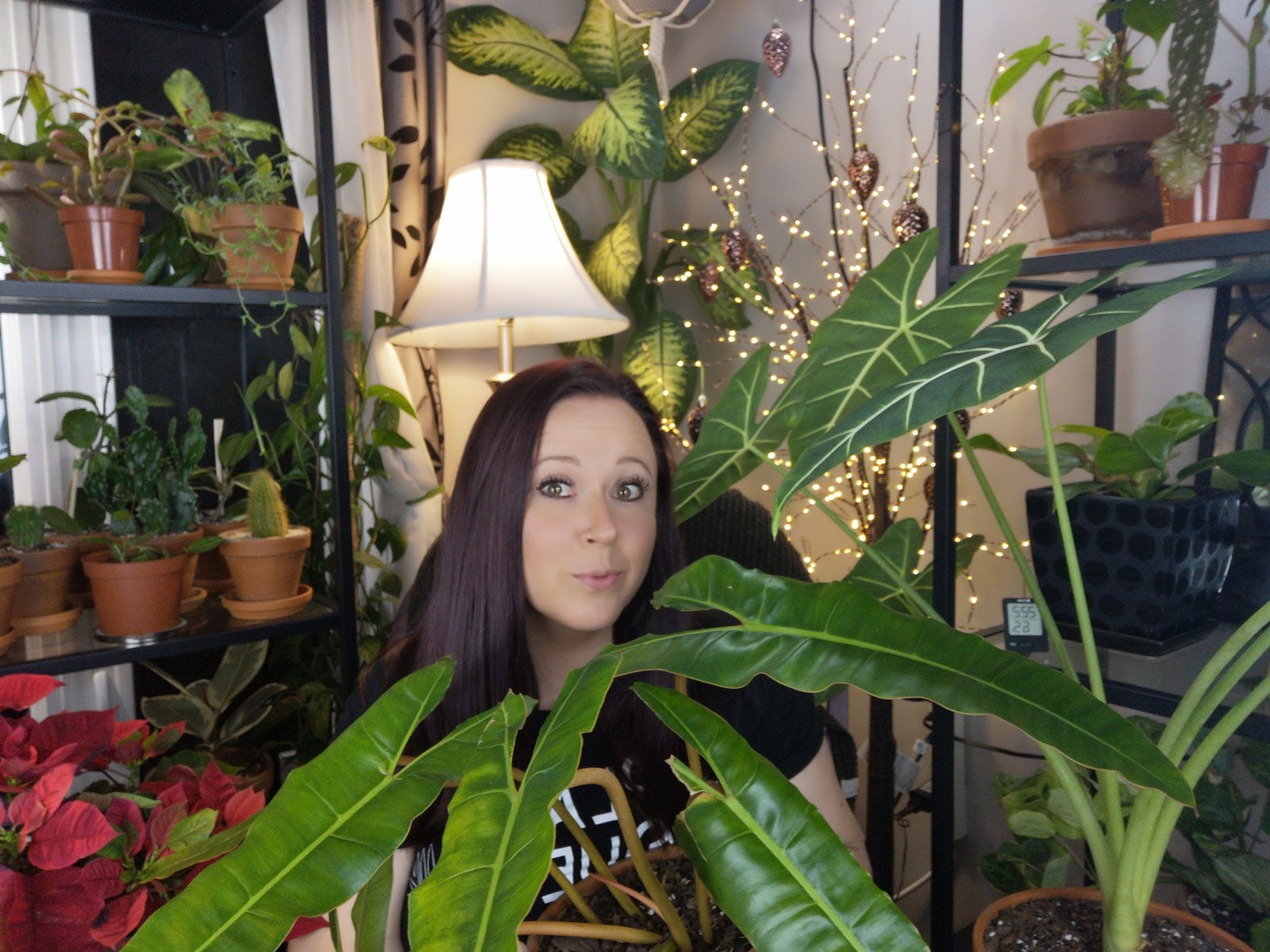 MEET NICKI FROM PLANTS, POTS & WHAT-NOTS AND HER 230 AMAZING PLANTS