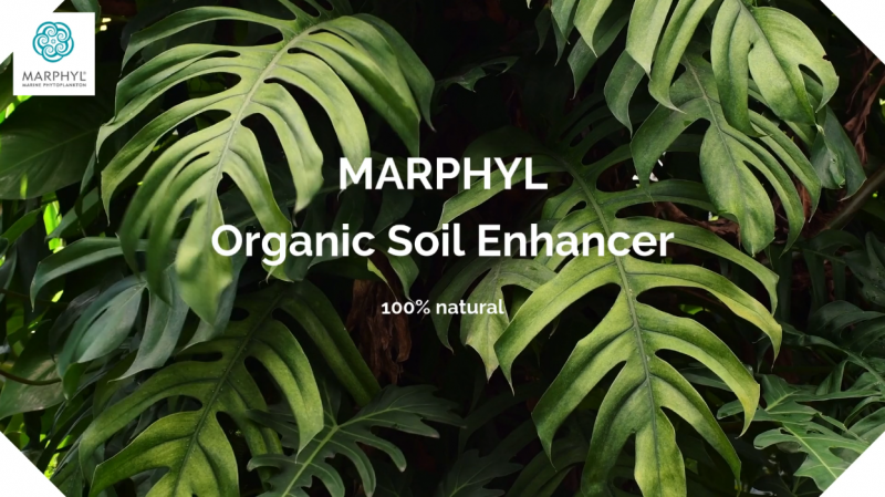 MARPHYL ORGANIC SOIL ENHANCER