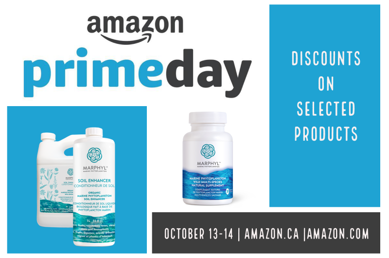 AMAZON PRIME DAY WITH MARPHYL