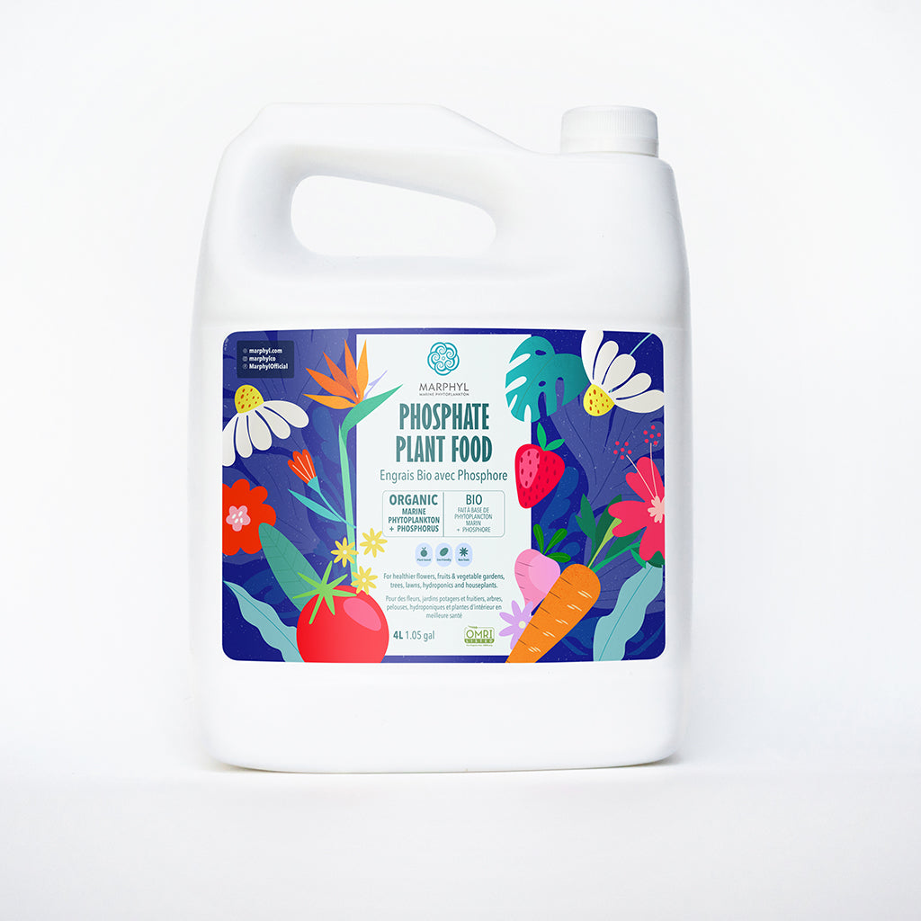 marphyl organic liquid fertilizer Phytoplankton + Phosphate Organic Soil Enhancer / Fertilizer / Plant food