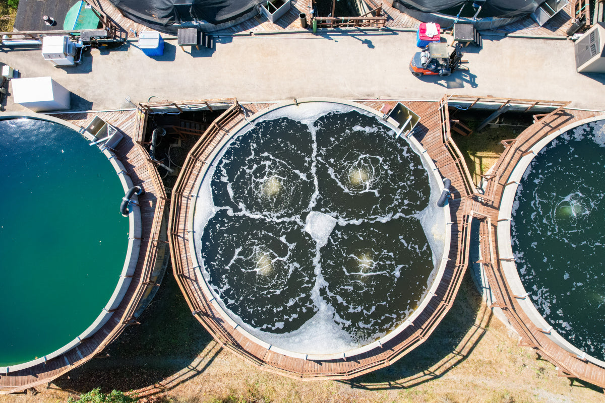 Aerial view of MARPHYL phytoplankton harvesting tanks